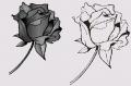 фото